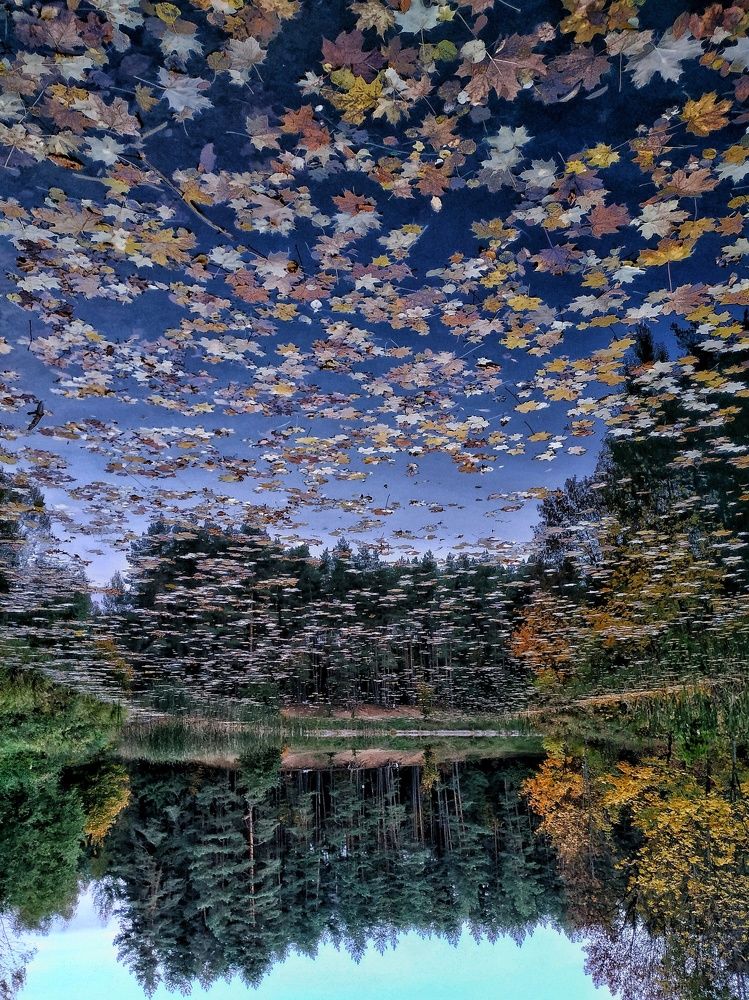 Photograph by Alena Litvinava