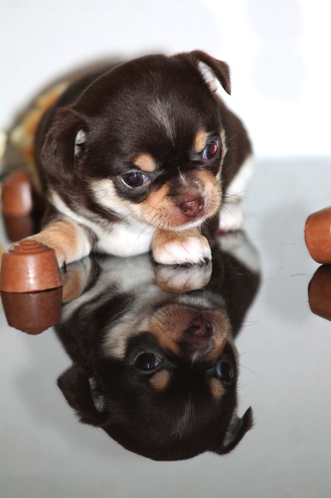 Photograph by Диана Ульянцева