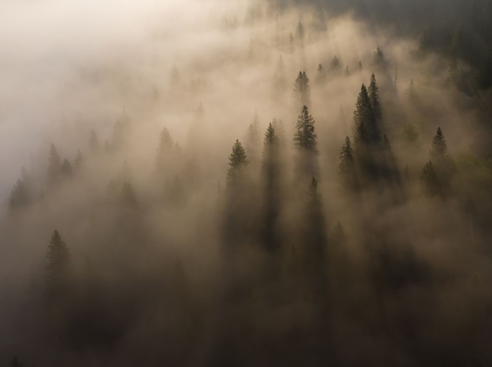 Волшебное утро