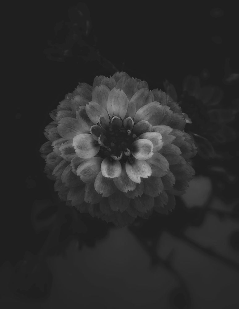 Photograph by Максим