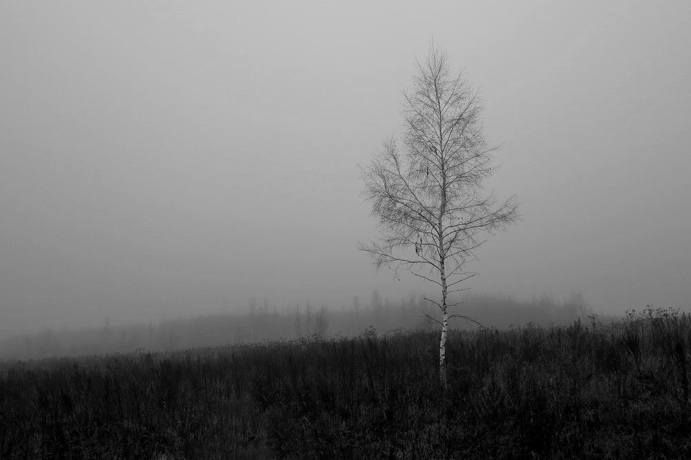 Photograph by Борис Баринов