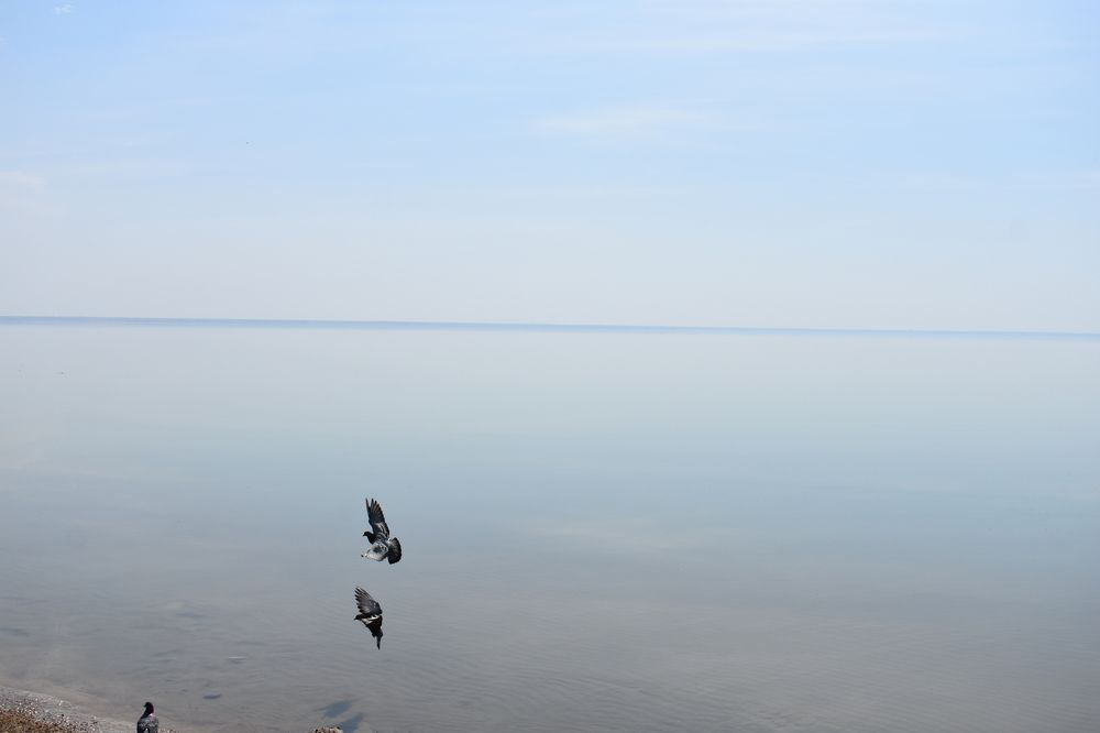 Photograph by Андрей Юденков