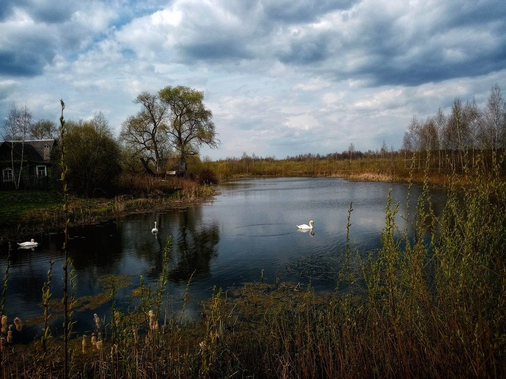 Photograph by Veronica Kravchonok