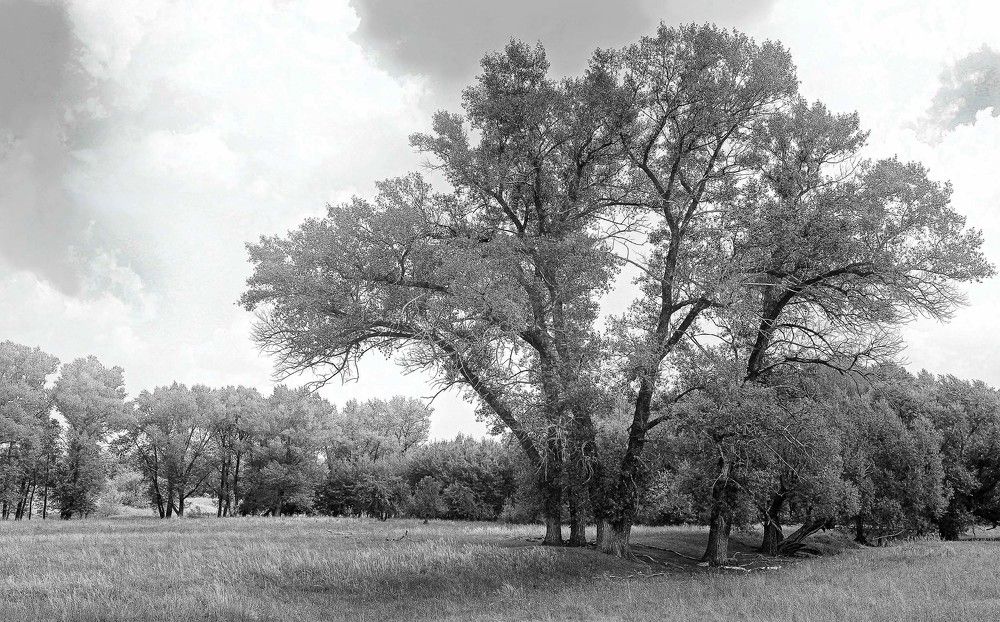 Природа Саратовской области.