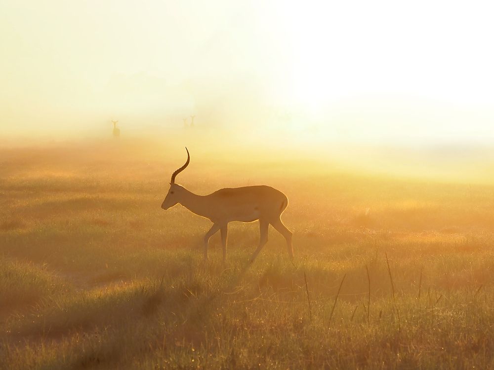 Natural beauty in natural habitat!