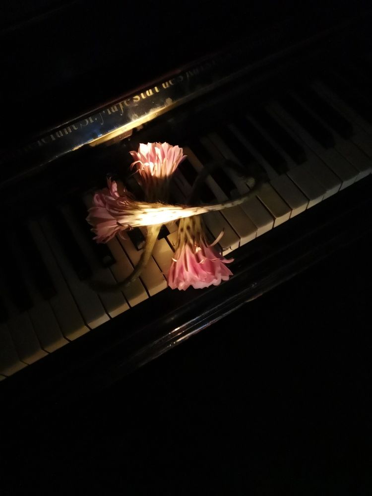 Photograph by Наталия