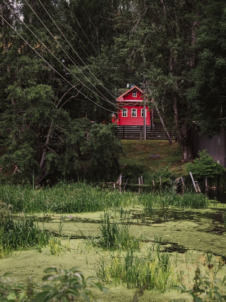 Photograph by Римма Рамазанова