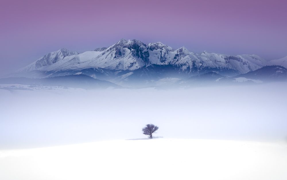 Фотография автора Rafal MAREK