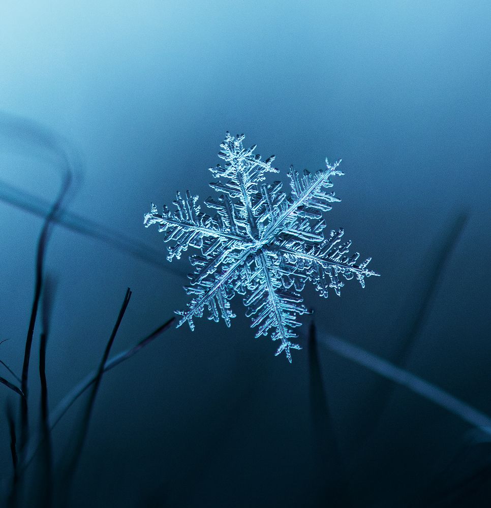 Просто снежинка