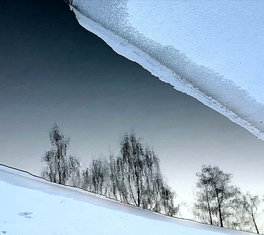 Photograph by Krystyna