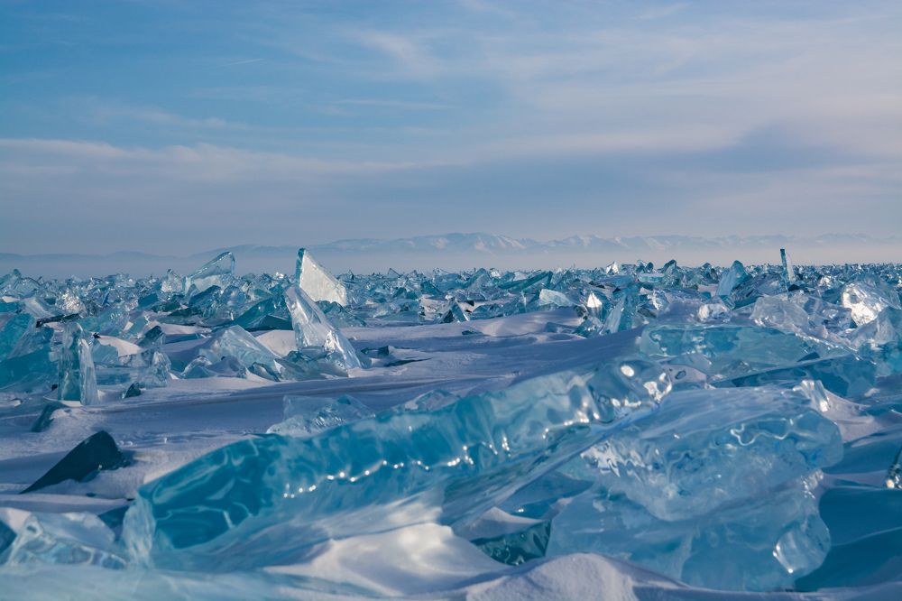 Фотография автора Анастасия