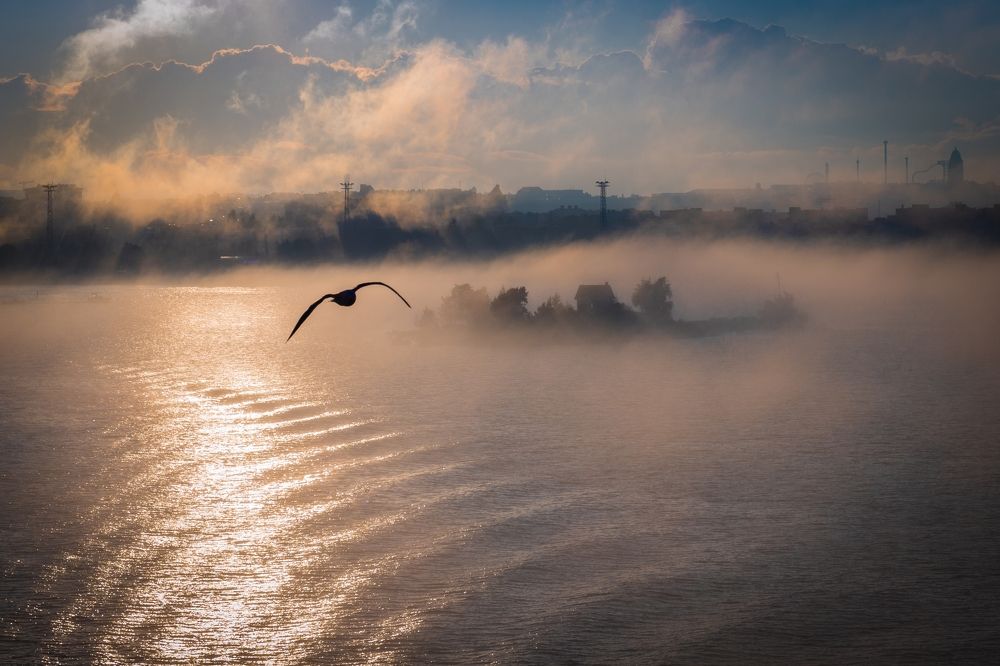 Туманный Хельсинки