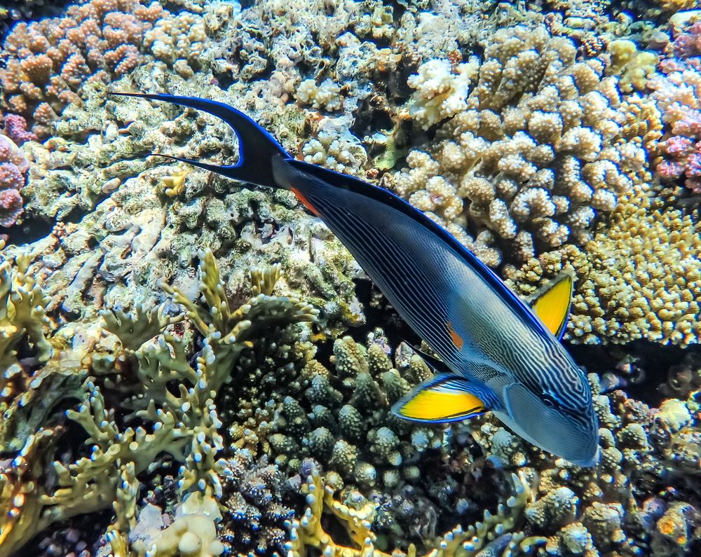 Photograph by Виктор ЛЬГОТИН