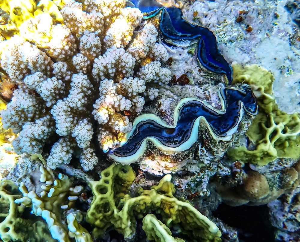 Photograph by Виктор ЛЬГОТИН