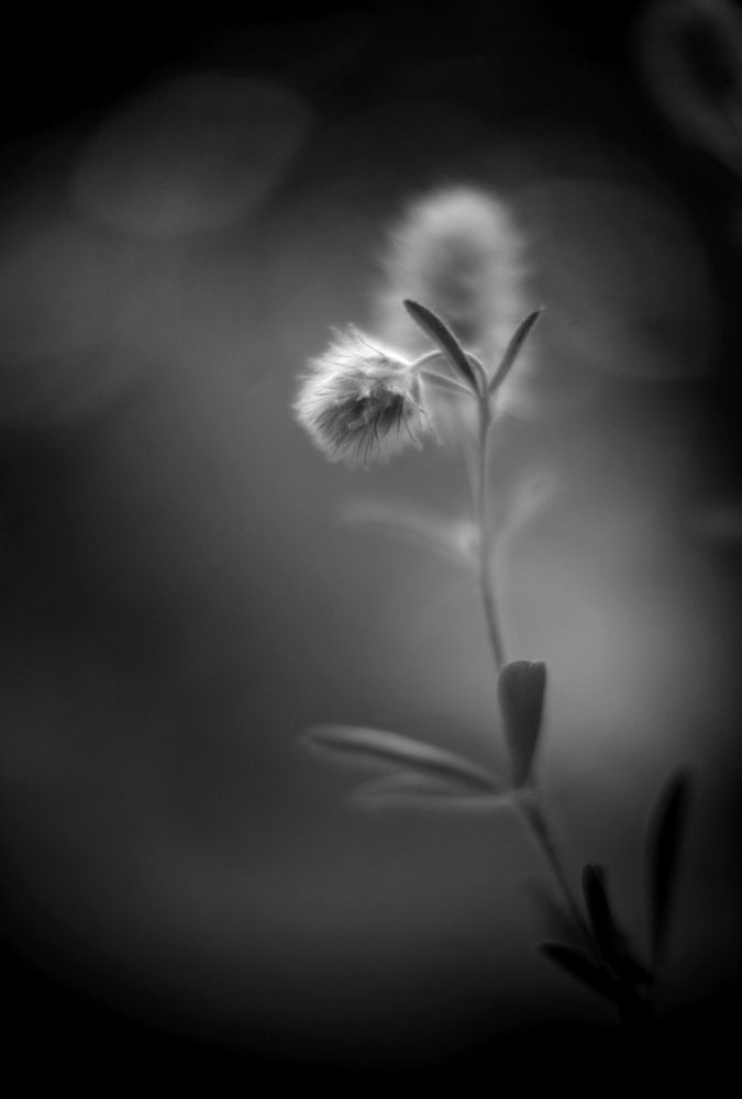 Photograph by Milla Luca