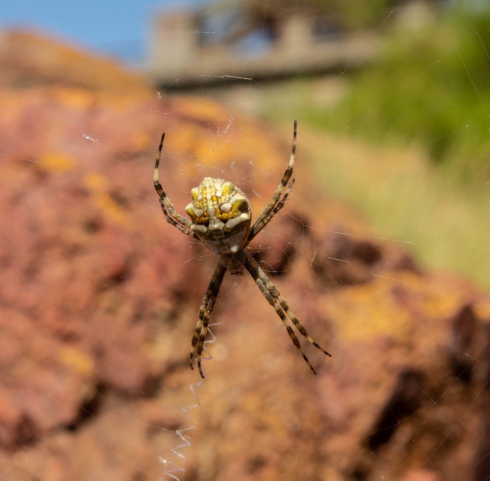 Photograph by Jorge Bagnuoli