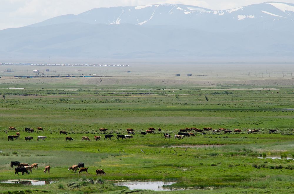 Photograph by Юлия Пушкарева