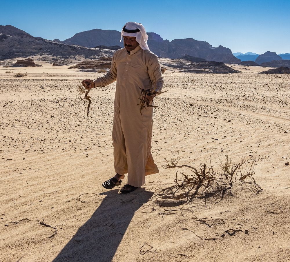 Photograph by Виктор ЛЬГОТИН