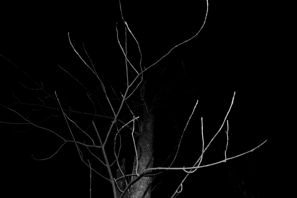 Photograph by Руслан Вялов