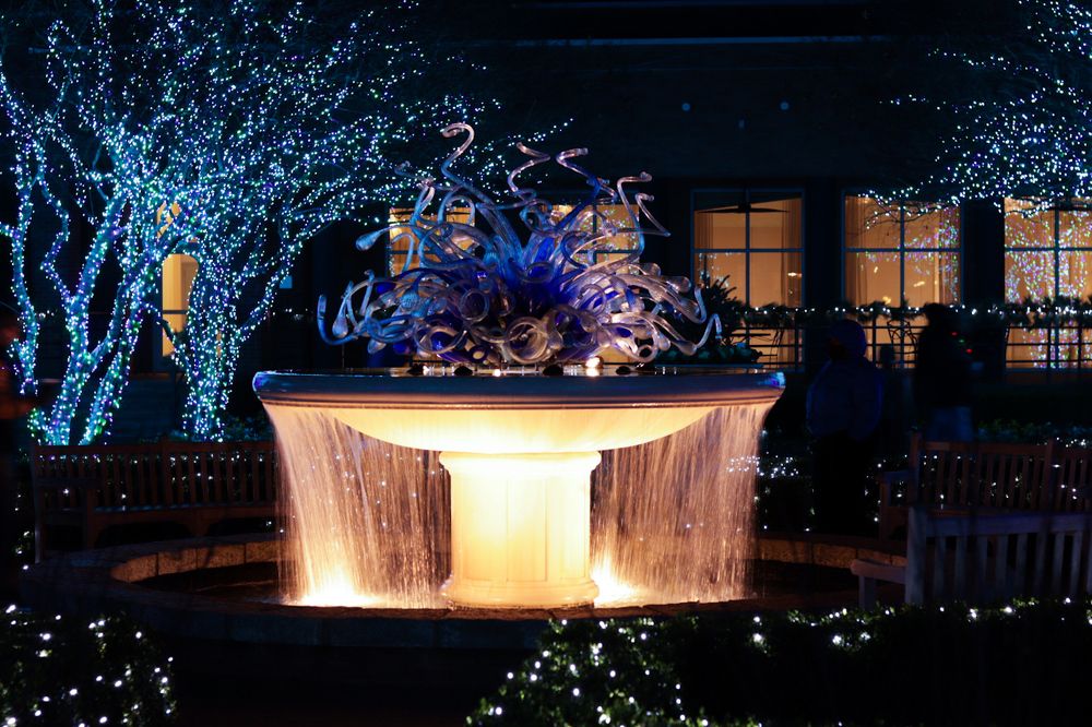 Photograph by Elena Shliachkova