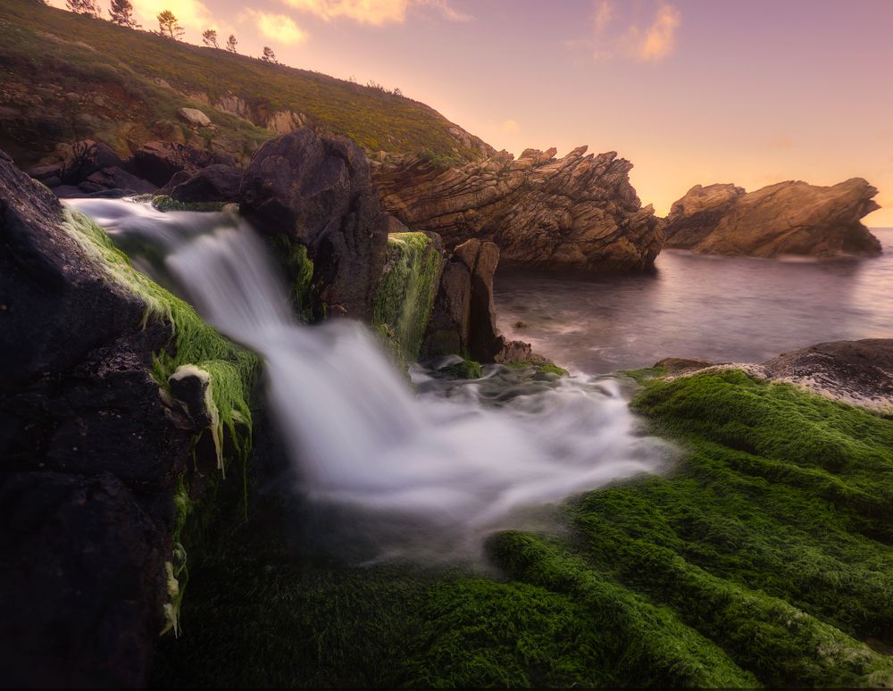 Photograph by Drew Korme