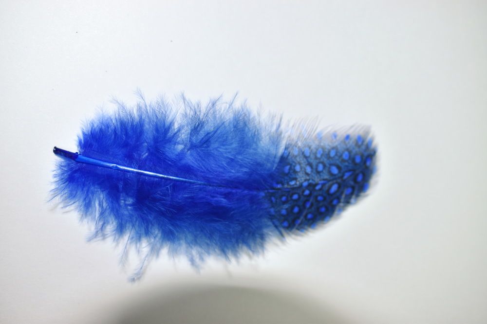 Фотография автора Моисеева Ольга