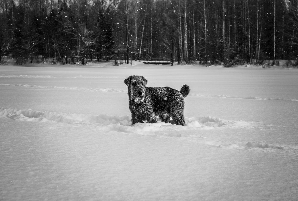 Photograph by Матвей Короткин