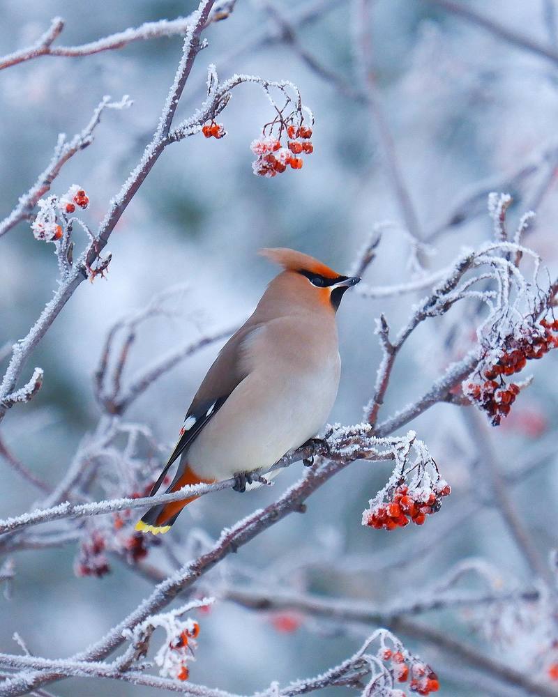 Photograph by Ксения Макарова