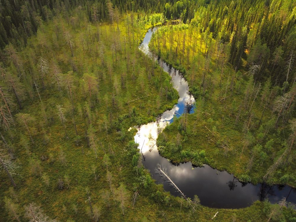 Photograph by Юлия Абрамова