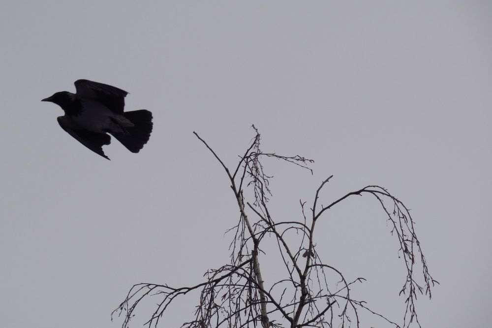 Photograph by Наташа Фишер