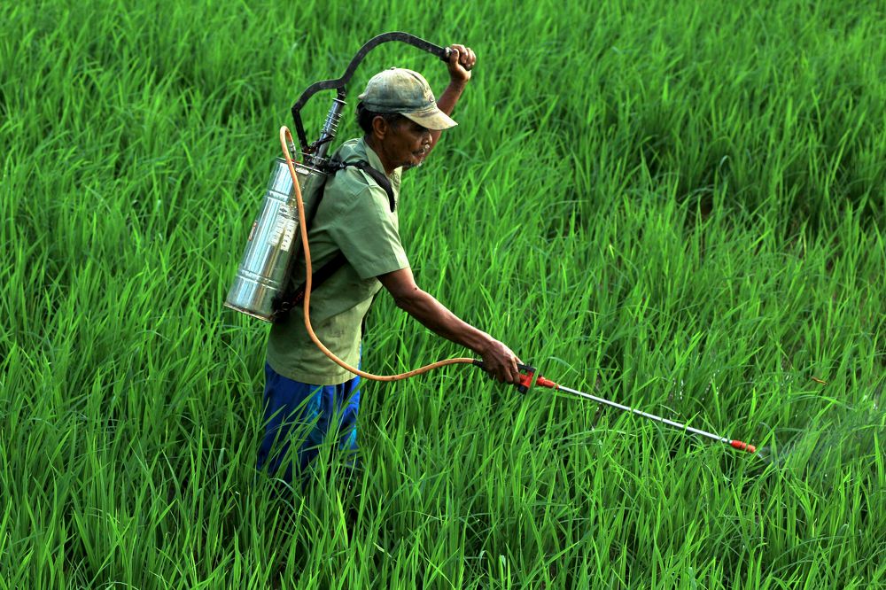 Photograph by Baraya Rocky