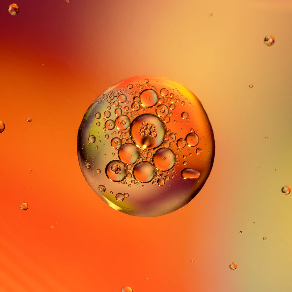 Фотография автора Елена Ельшина