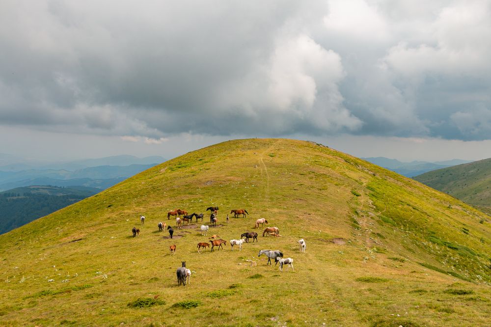 Photograph by Даниел Чобанов