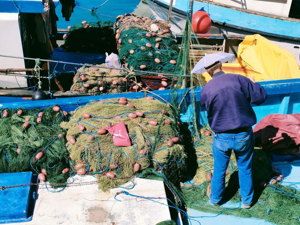 Photograph by Mohamed Kaouche