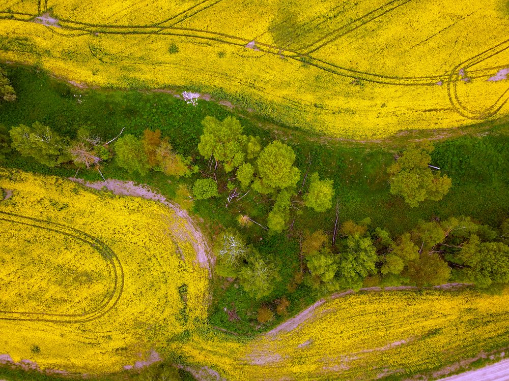 Photograph by Юлия Абрамова