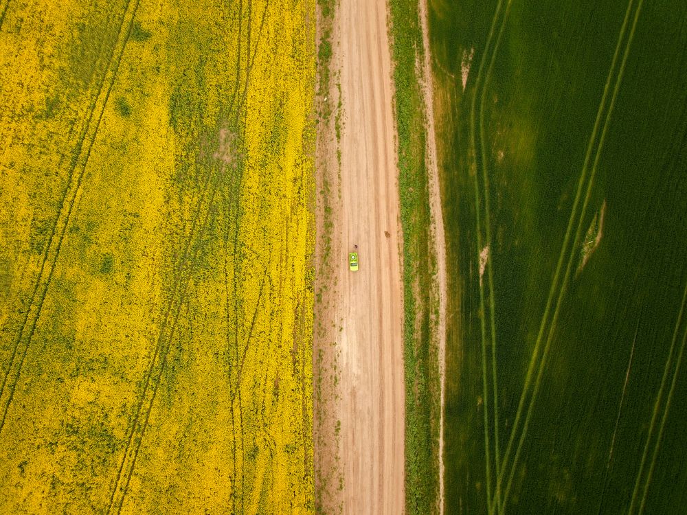 Photograph by Юлия Абрамова