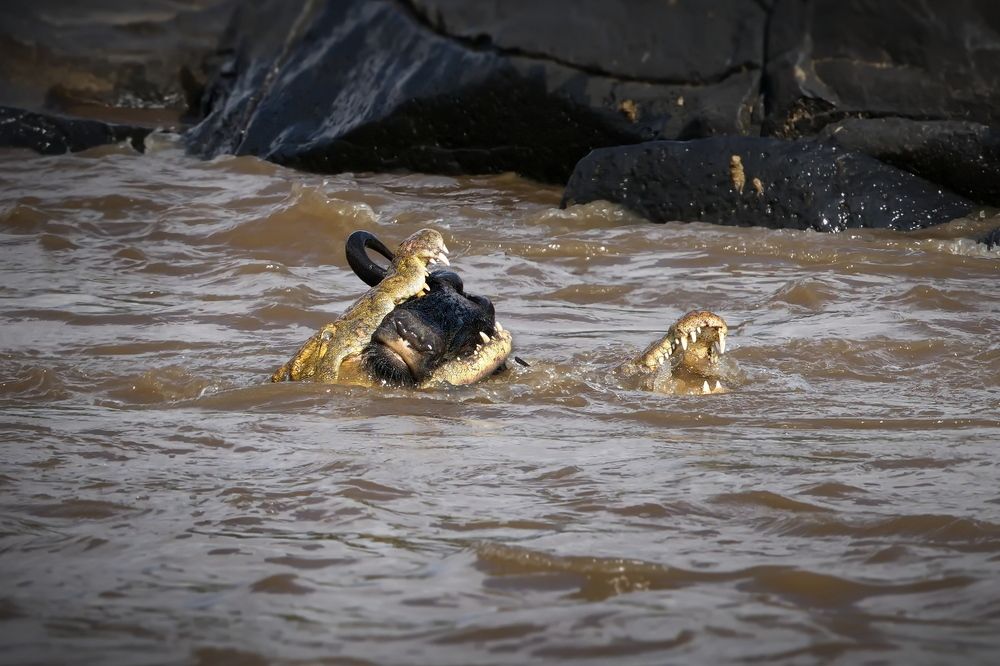 Печальный конец