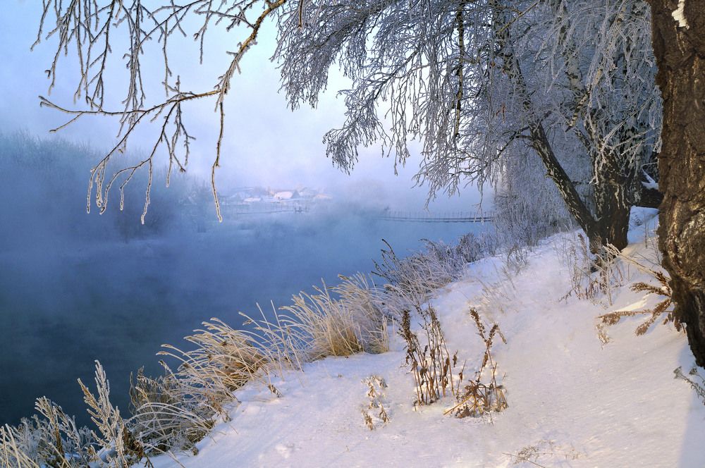 Photograph by Мишустина Татьяна