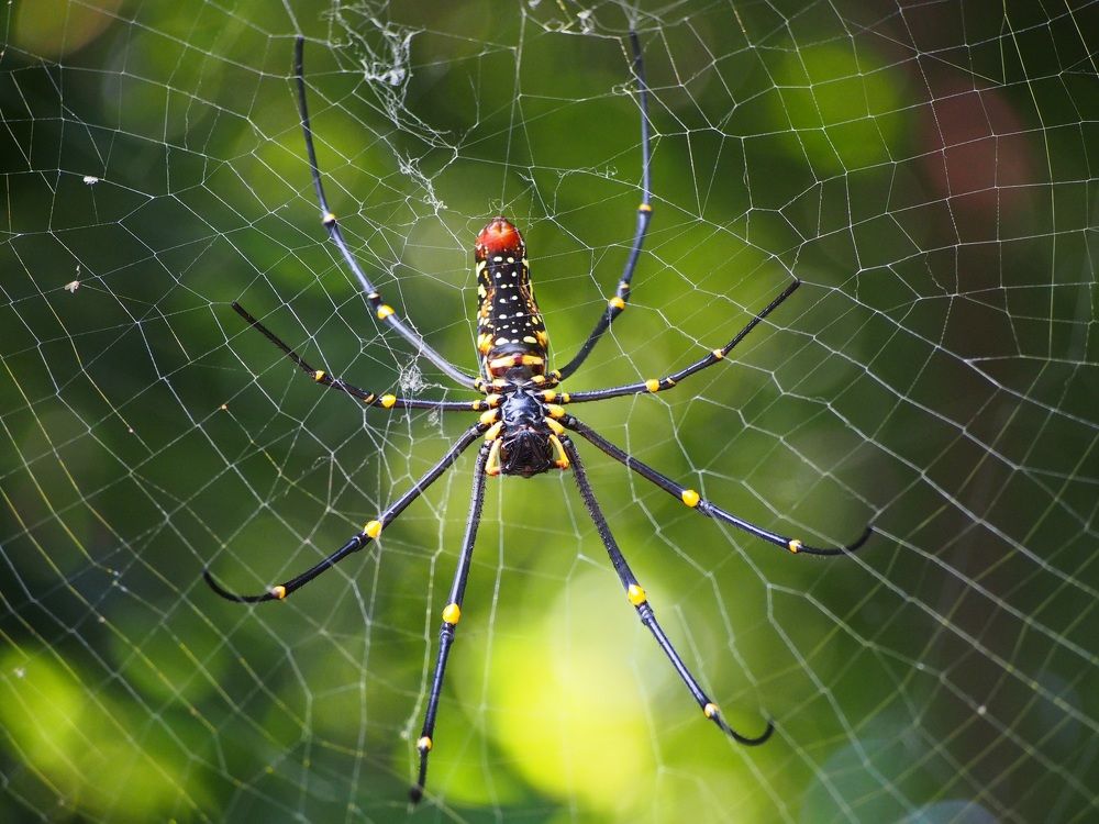 Photograph by Rajat Mohanty