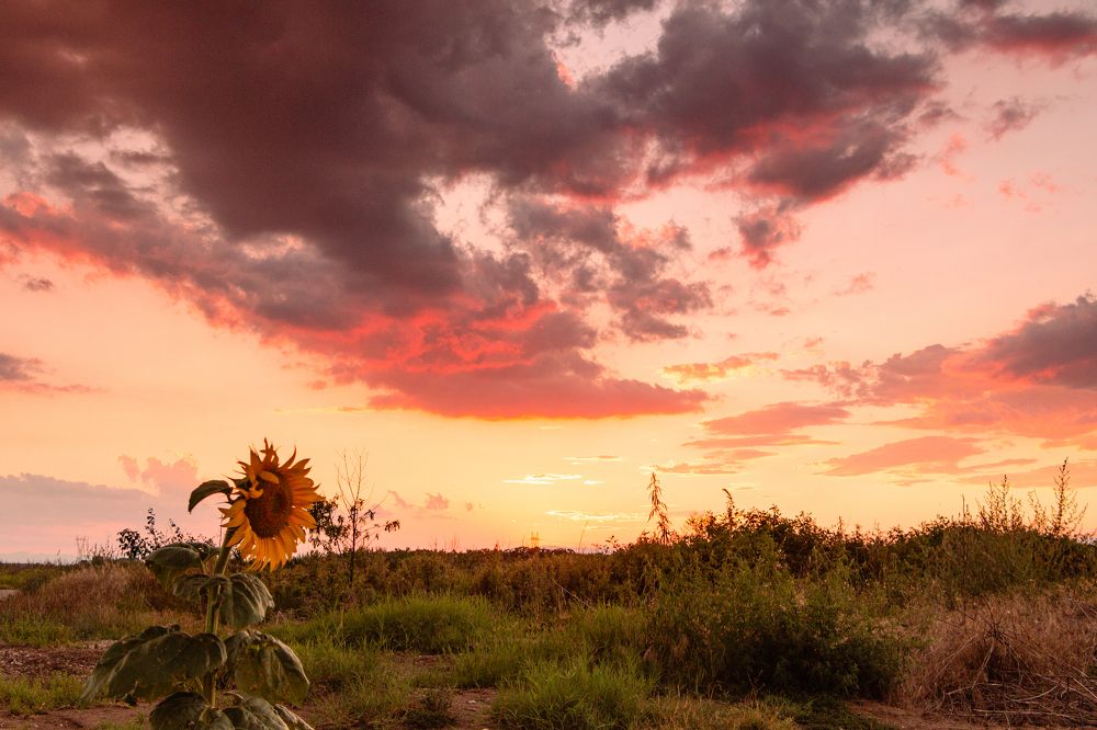 Photograph by Даниел Чобанов