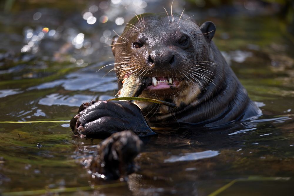 Вкуснятина