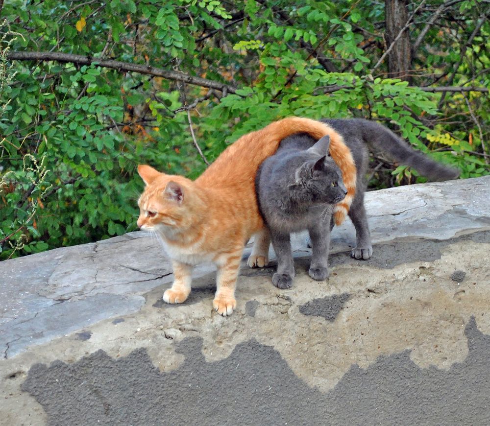 Photograph by Алексей