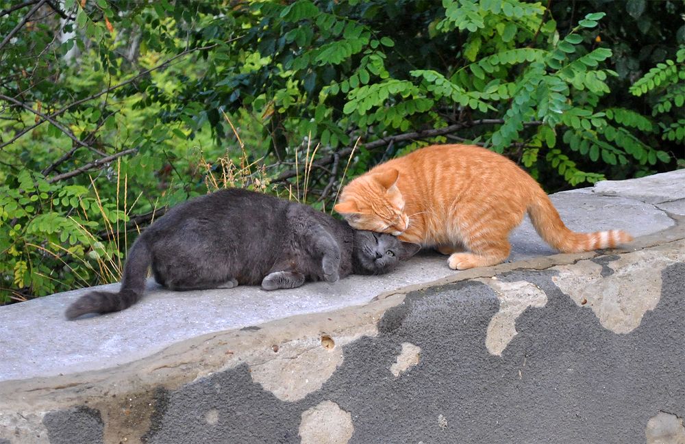 Photograph by Алексей