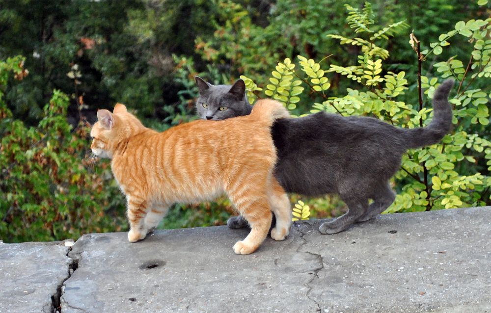 Photograph by Алексей