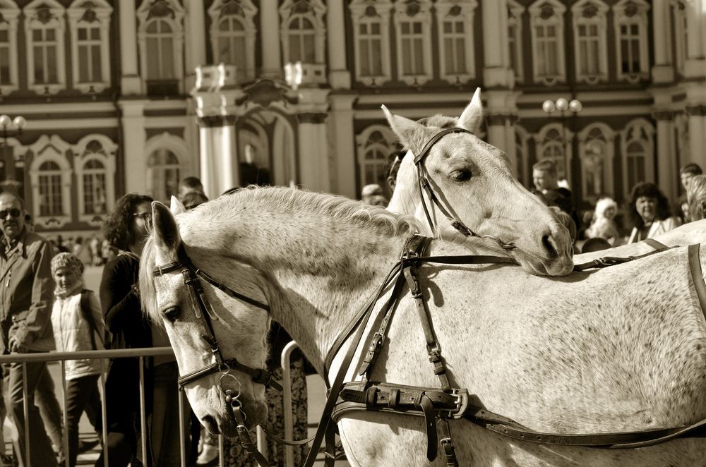 Photograph by Александр Клопков