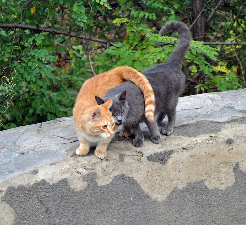 Photograph by Алексей