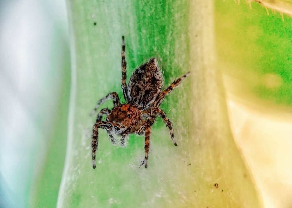 Photograph by Feri Fikri