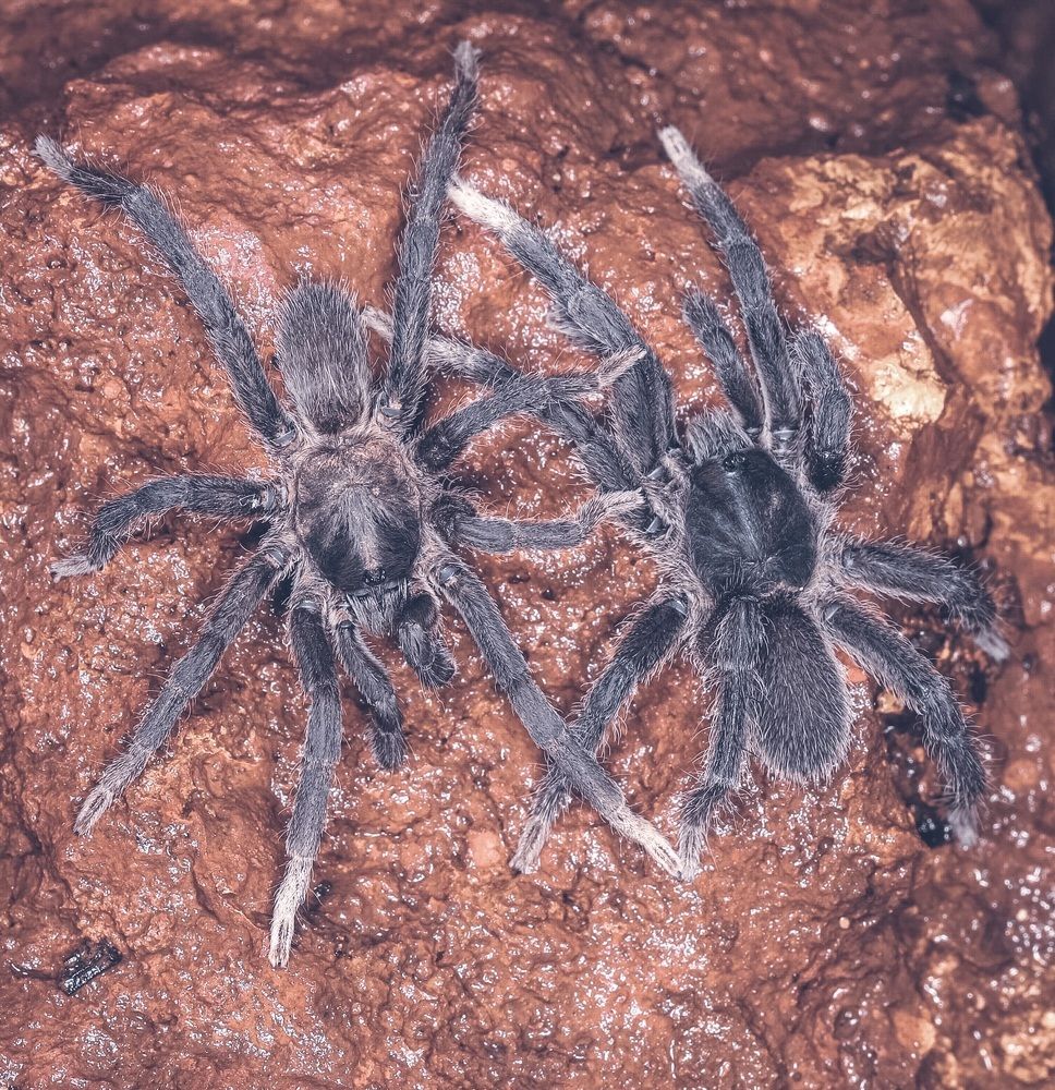 Photograph by Nilesh Tandel