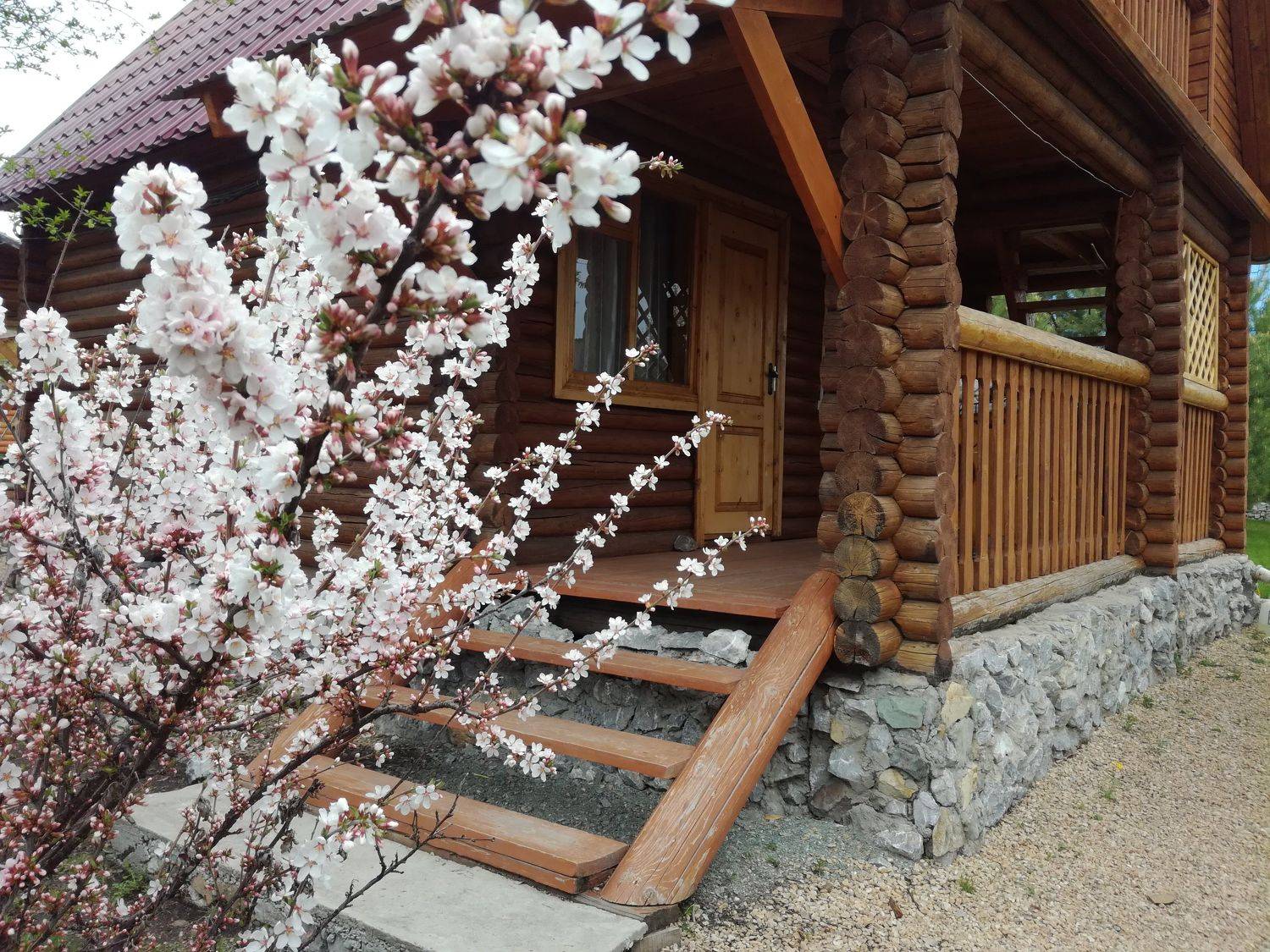Photo #7211019