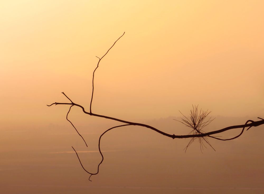 Photograph by Boris Bekelman